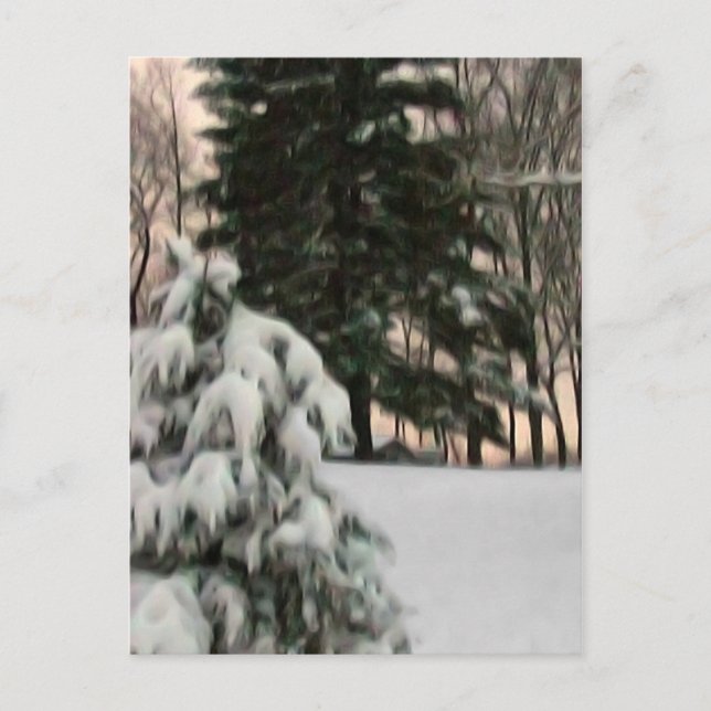 Postal Sol de invierno (Anverso)