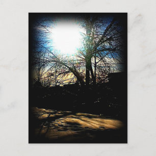 Postal Sol de invierno