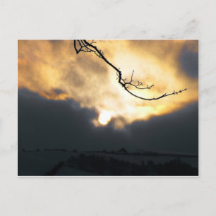 Postal Sol de invierno