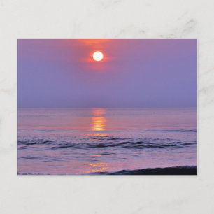 Postal Sol de lavanda