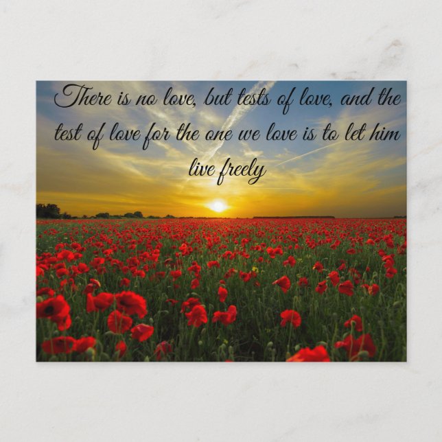 Postal sol de puesta de sol (Anverso)