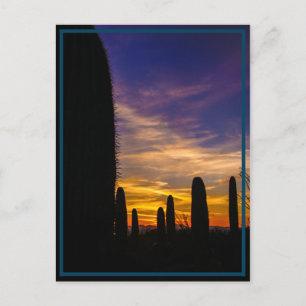 Postal sol del desierto