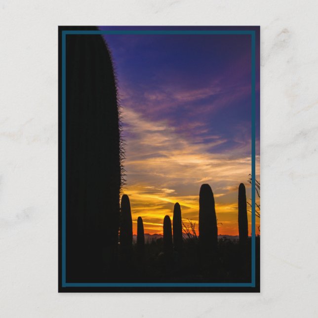 Postal sol del desierto (Anverso)