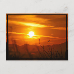Postal Sol desértico