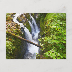 Postal Sol Duc cae I en el Parque Nacional Olímpico