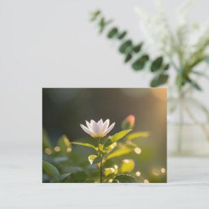 Postal Sol en ascenso, Hola primavera, Postcross