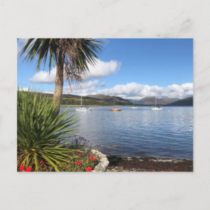 Postal Sol en Escocia. Bahía con palmeras y yates