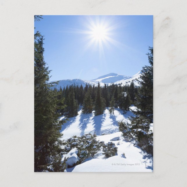 Postal Sol invernal 5 (Anverso)