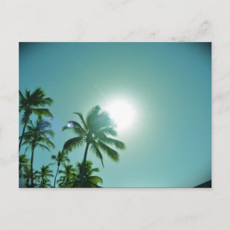 Postal Sol tropical