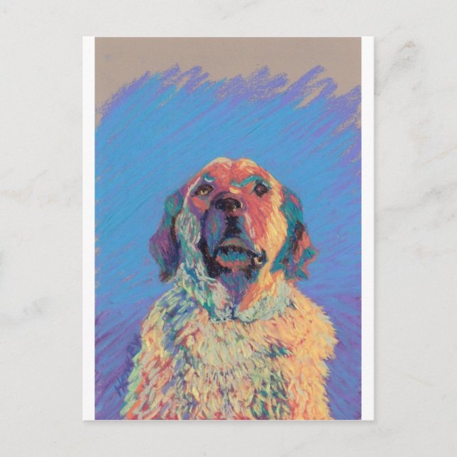 Postal Sol verano (Anverso)