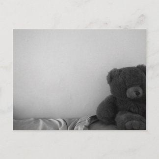 Postal sola del oso