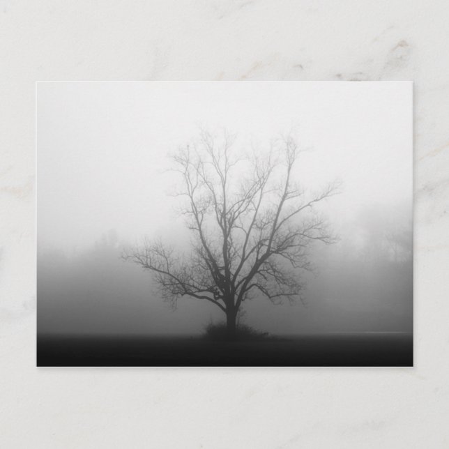 Postal Solamente (Anverso)