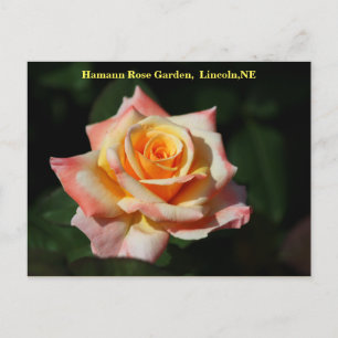 Postal solar tahitiana Lincoln, NE 2014 250