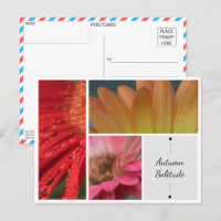 Soledad de otoño - Postcard de las gotas de agua c