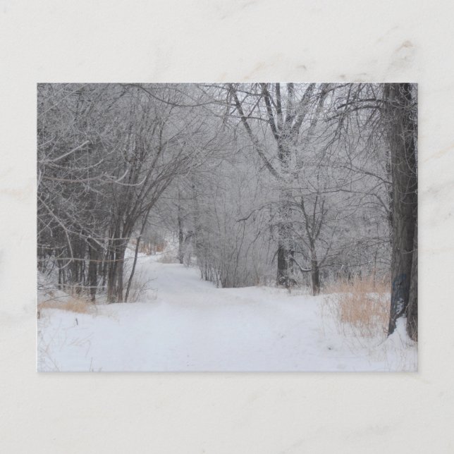 Postal Soledad Invernal (Anverso)