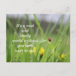 Postal [Soliely Ladybug] Te Falta