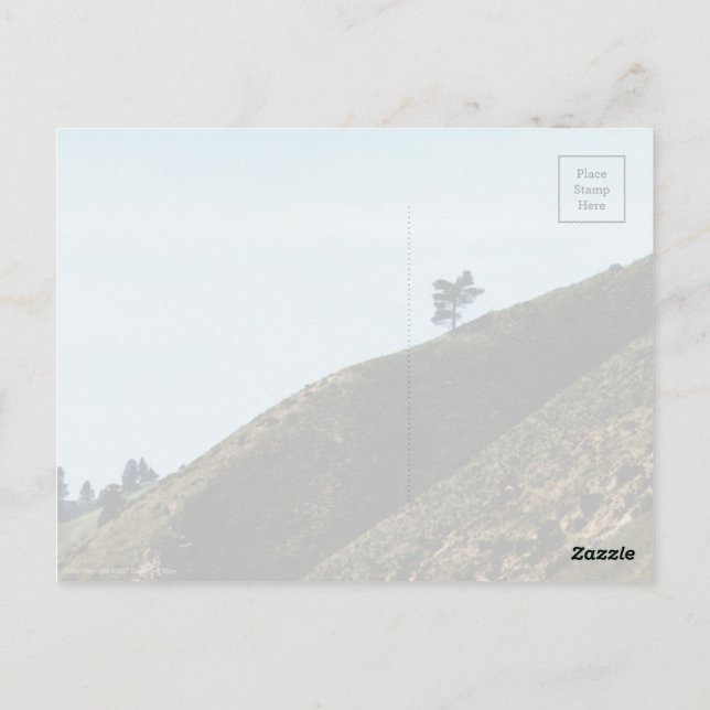 Postal Solo (Reverso)