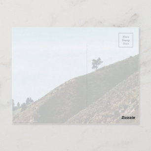 Postal Solo
