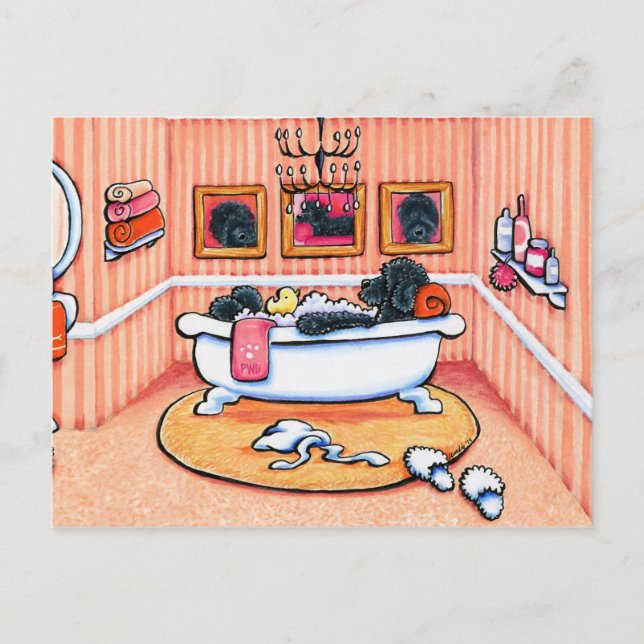 Postal Solo 5 Minutos Más (Anverso)