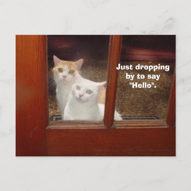 Postal Sólo caer por (Anverso)