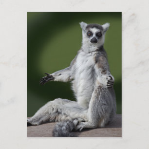 Postal Solo Chill Postcard