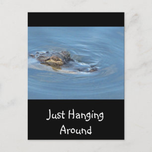 Postal Sólo colgando alrededor