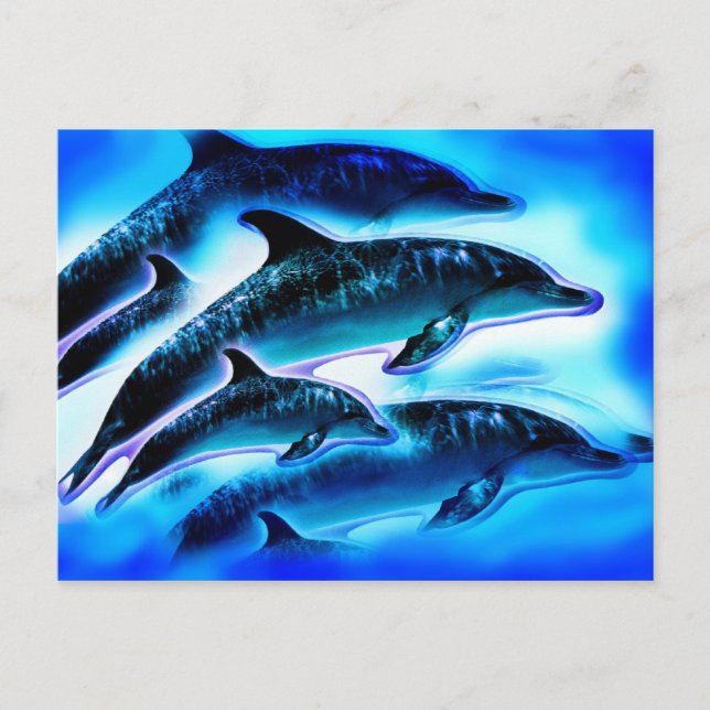 Postal Solo delfines (Anverso)