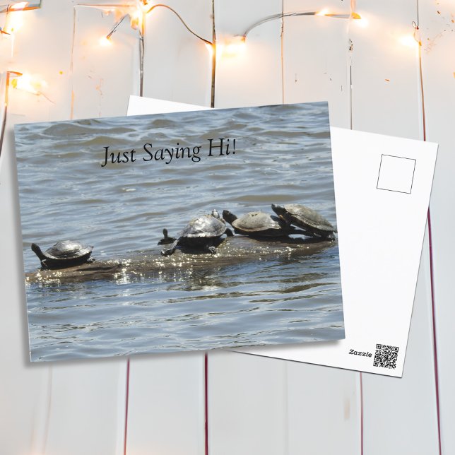 Postal Sólo diciendo hola, tortugas ricas tomando el sol  (Subido por el creador)