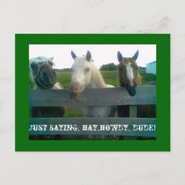 Postal Solo digo, heno,hola, tío! (Anverso)