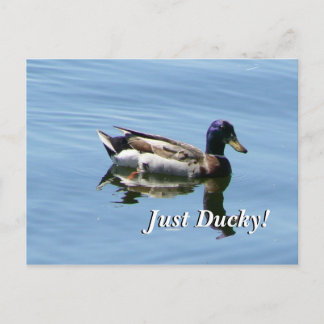 Postal ¡Solo Ducky!