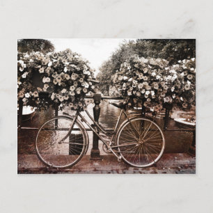 Postal Solo en Ámsterdam