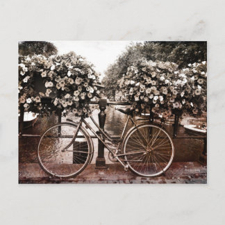 Postal Solo en Ámsterdam