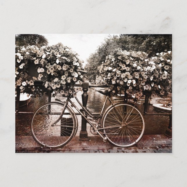 Postal Solo en Ámsterdam (Anverso)