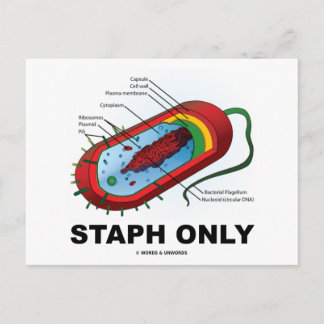 Postal Sólo estafio (Humor de Medicina de Salud de las Ba