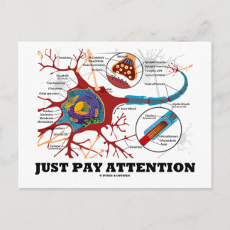 Postal Sólo hay que prestar atención (neurona/sinapsis)