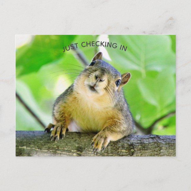 Postal Sólo marcando (Anverso)