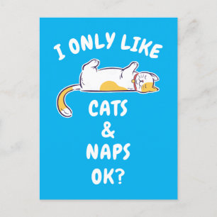 POSTAL SOLO ME GUSTAN LOS GATOS Y LAS SIESTAS ¿OK?