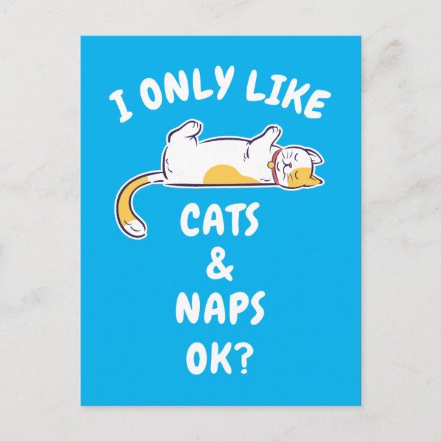 POSTAL SÓLO ME GUSTAN LOS GATOS Y LOS NAPS, ¿OK? (Anverso)