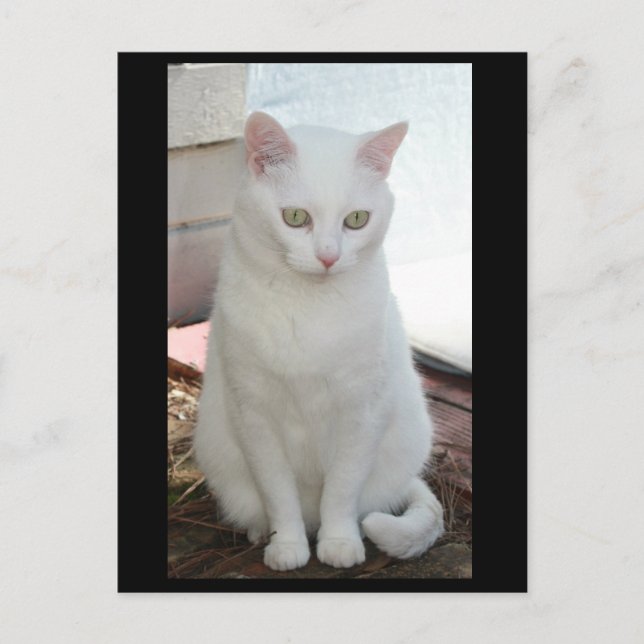 Postal Solo Missy (Anverso)