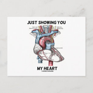 Postal Sólo mostrándote mi corazón (corazón anatómico)