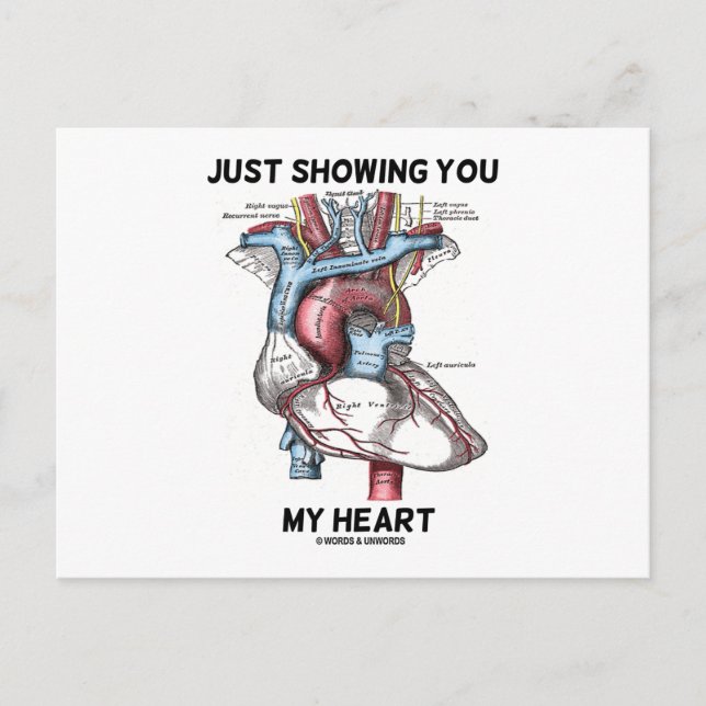 Postal Sólo mostrándote mi corazón (corazón anatómico) (Anverso)