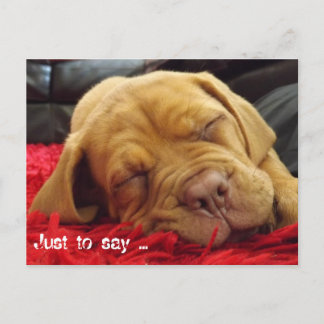 Postal Sólo para decir...