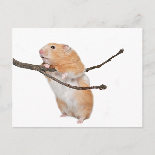 Postal solo por ahí (Anverso)