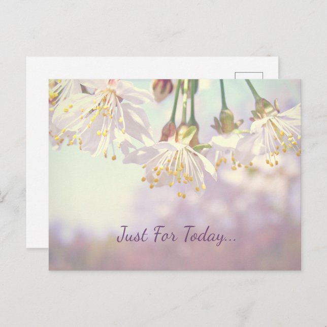 Postal Sólo por hoy... (Anverso / Reverso)