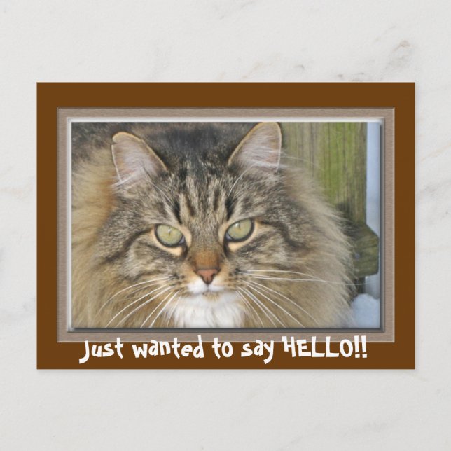 Postal Solo quería decir HOLA!! (Anverso)