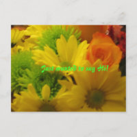 Solo quería saludar