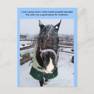 Postal Solo quiero saber qué es el cohete sci...