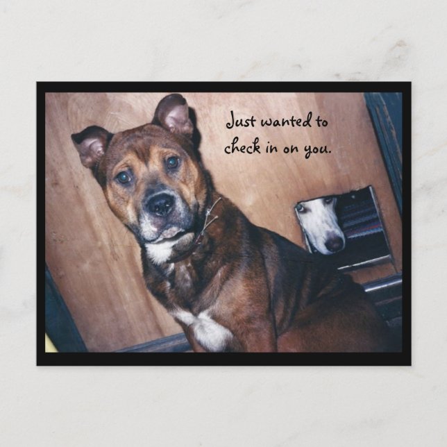 Postal Solo registrándote. (Anverso)