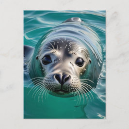 Postal Solo registrándote | Mantener en contacto