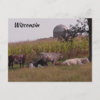 Solo saludar desde Vacas y Granja de Wisconsin
